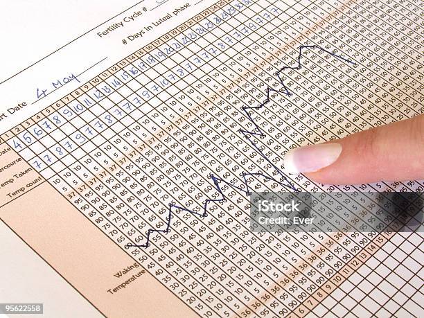 Fruchtbarkeit Tabelle Stockfoto und mehr Bilder von Schaubild - Schaubild, Menschliche Fruchtbarkeit, Basalzelle