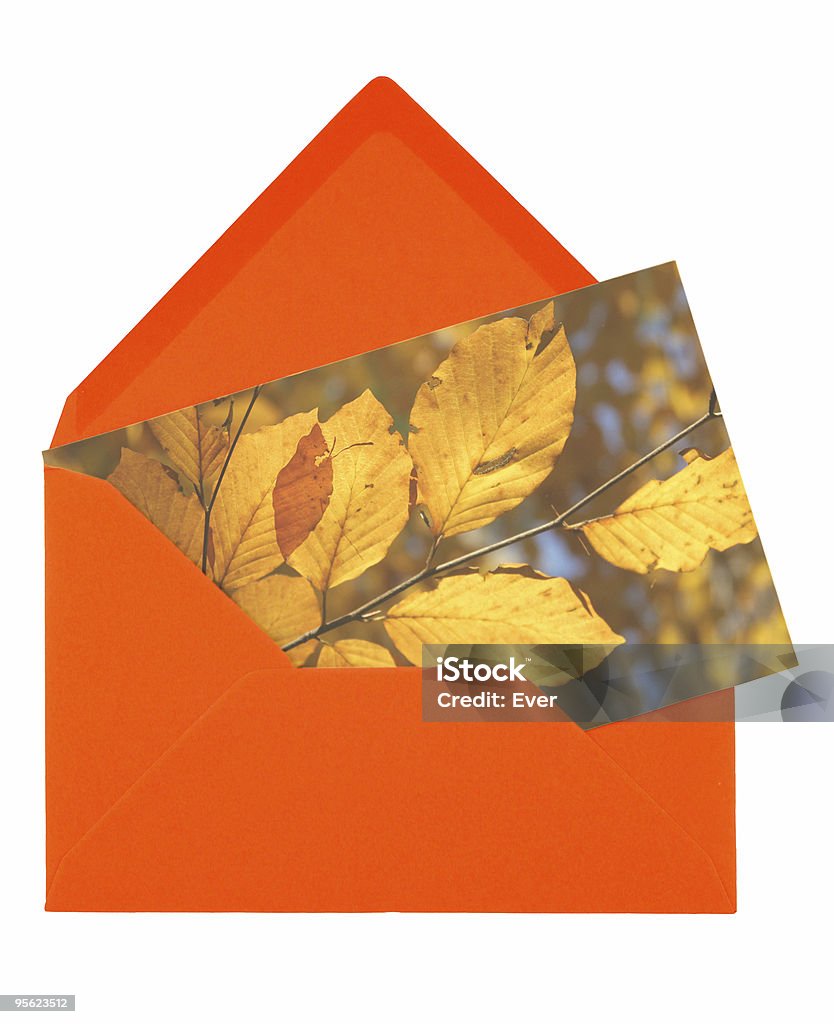 Envoltura y otoño tarjeta - Foto de stock de Carta - Documento libre de derechos