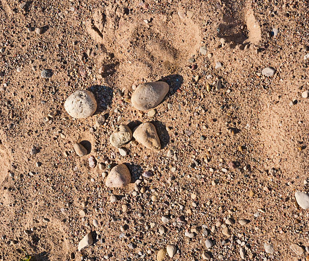 istock Small stones in the sand 95624336