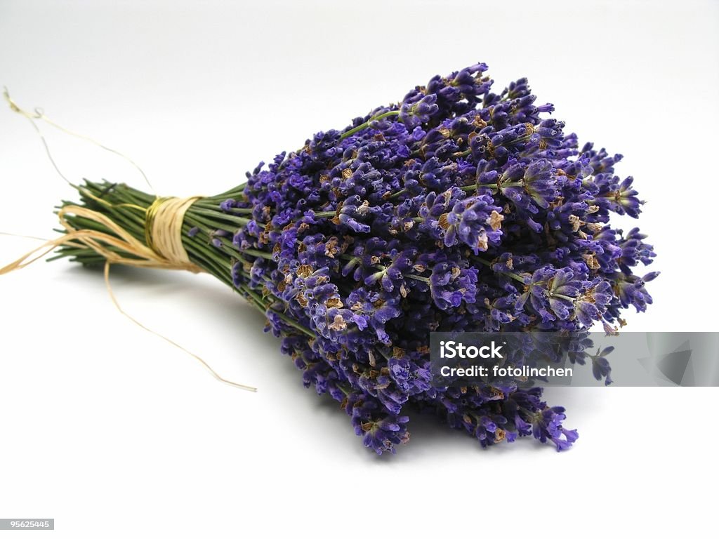 - Lavendel - Lizenzfrei Blume Stock-Foto