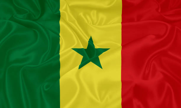 of 다카르발 플래깅  - flag of senegal 뉴스 사진 이미지