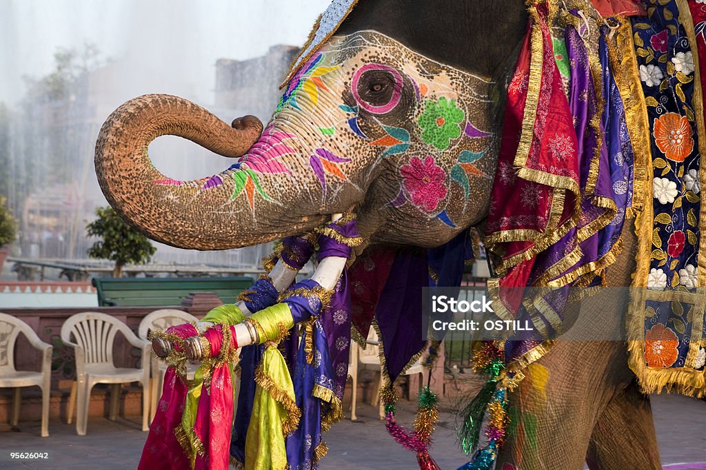 Gangaur festival elephant in Jaipur, India  India Stock Photo