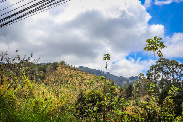 costa rica landscape sky blue stock photo