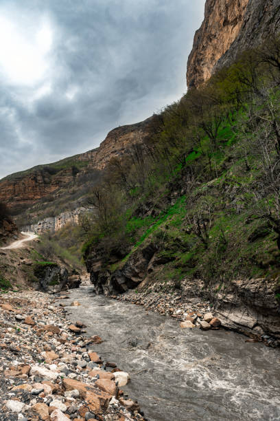 szybka górska rzeka w wąwozie - scenics coastline uk moss zdjęcia i obrazy z banku zdjęć