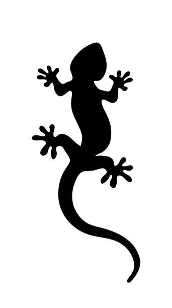 illustrazioni stock, clip art, cartoni animati e icone di tendenza di lucertola nera su sfondo bianco - lizard