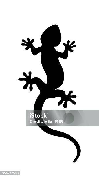 Black Lizard On White Background Stock Illustration - Download Image Now - Gecko, In Silhouette, Lizard