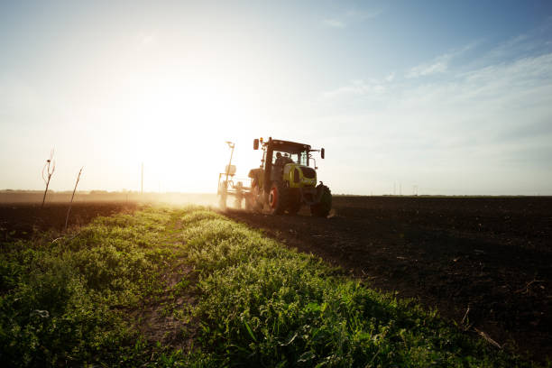 istock Seeding crops at field 956274282