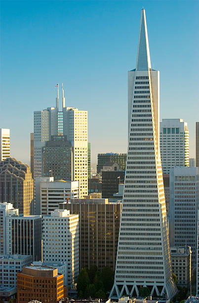 Financial District buildings in San Francisco  transamerica pyramid san francisco stock pictures, royalty-free photos & images