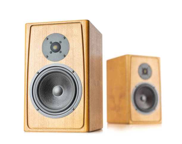 istock Two wooden speakers isolated on white background. 956276620