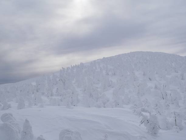istock Yamagata Prefecture, Zao 956278132
