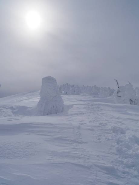 istock Yamagata Prefecture, Zao 956278222