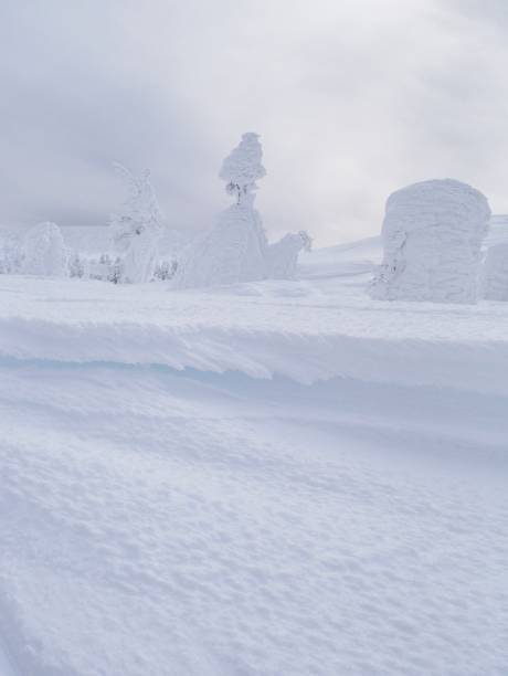 istock Yamagata Prefecture, Zao 956278238