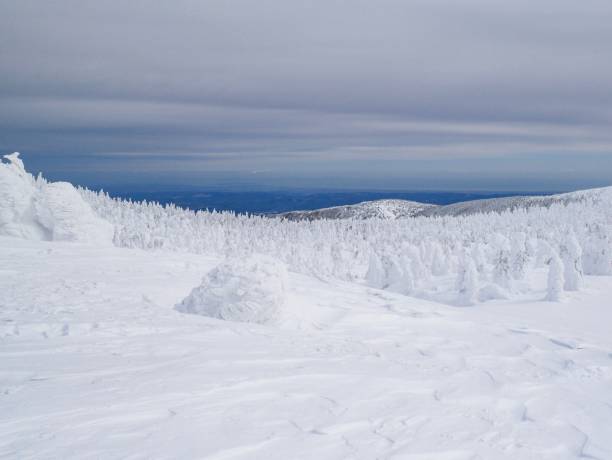 istock Yamagata Prefecture, Zao 956278256