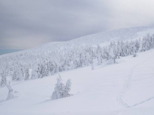 istock Yamagata Prefecture, Zao 956278286