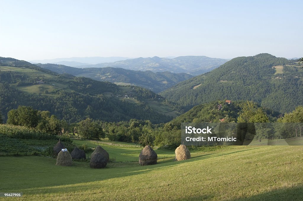 There's  Agricultural Field Stock Photo