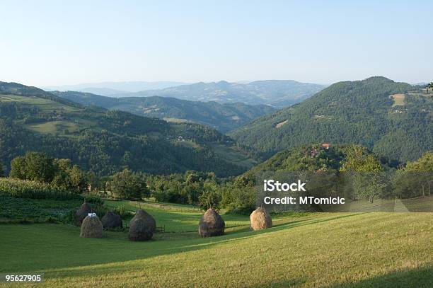 Theres Stock Photo - Download Image Now - Agricultural Field, Agriculture, Balkans