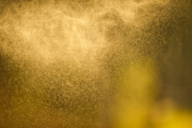 istock Background - splashes of water in backlighting from the setting sun 956280852