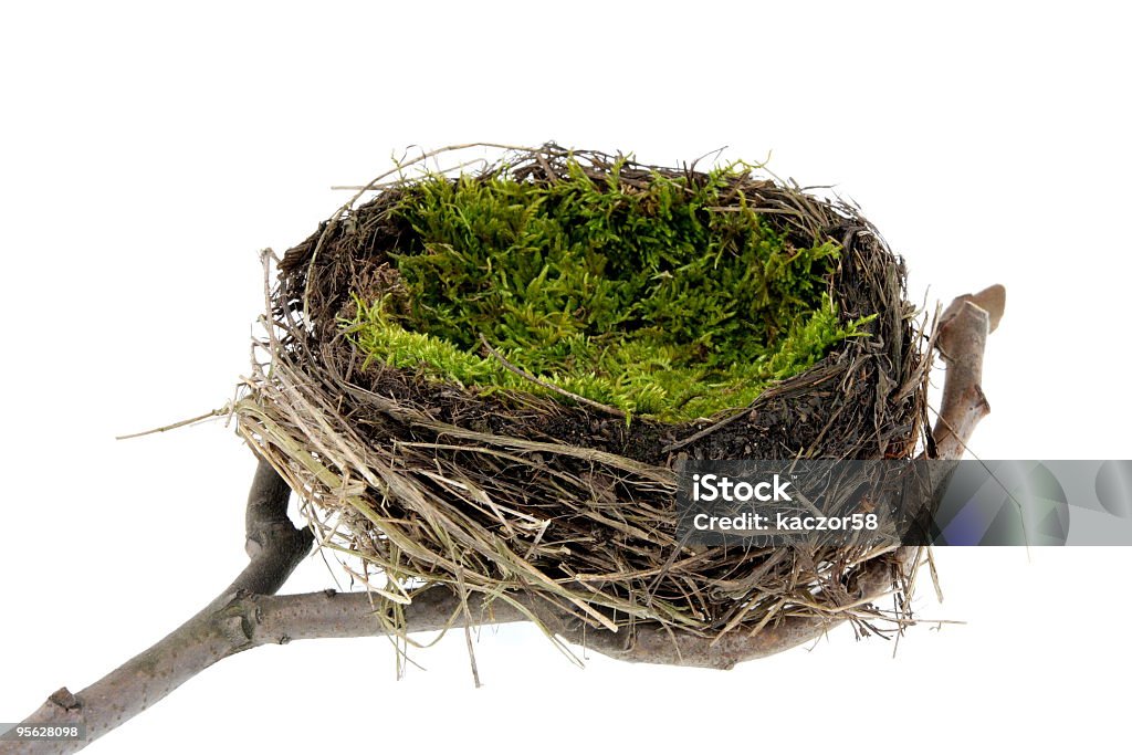 Natural em branco vazio nest - Foto de stock de Branco royalty-free