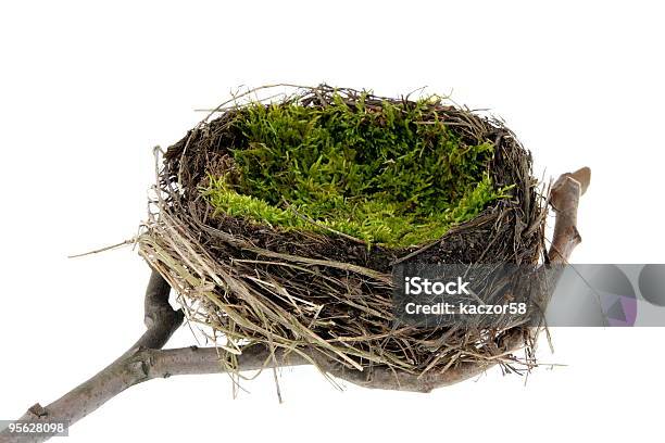 Foto de Natural Em Branco Vazio Nest e mais fotos de stock de Branco - Branco, Estação do ano, Figura para recortar