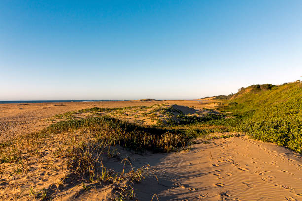 istock Golden Sand and Dune Vegetation Coastal Skyline Landscape 956281966