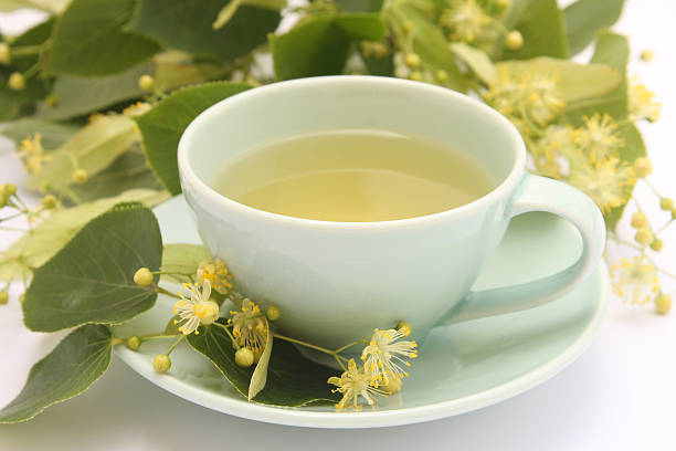 Lime tree tea stock photo