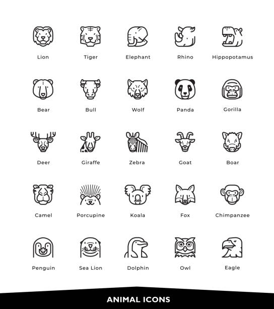 tierische symbole - elephant head stock-grafiken, -clipart, -cartoons und -symbole