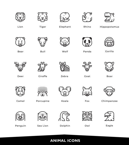 ilustraciones, imágenes clip art, dibujos animados e iconos de stock de iconos de animales - panda animal