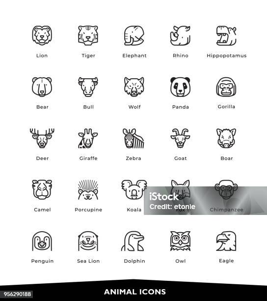 Animal Icons Stock Illustration - Download Image Now - Icon Symbol, Animal, Bear