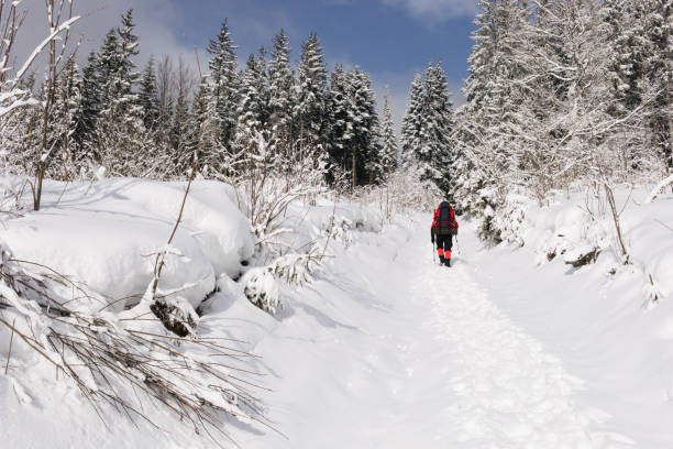 istock A hiker is moving forward on the snow covered road in the Carpathians 956290316