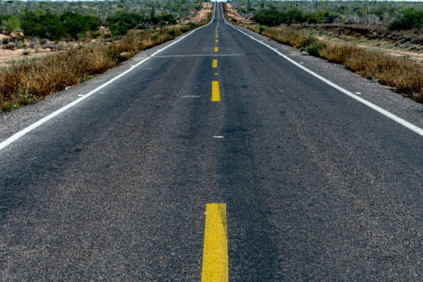 istock baja california landscape endless straight panorama road 956291228
