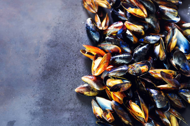 istock Mussels on stone concrete background. Top view, copy space. Square crop 956291508