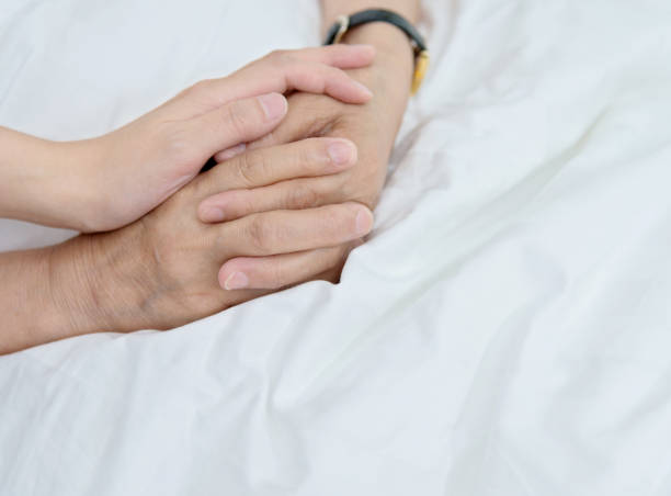 istock Young hands holding a senior woman's hands 956291694
