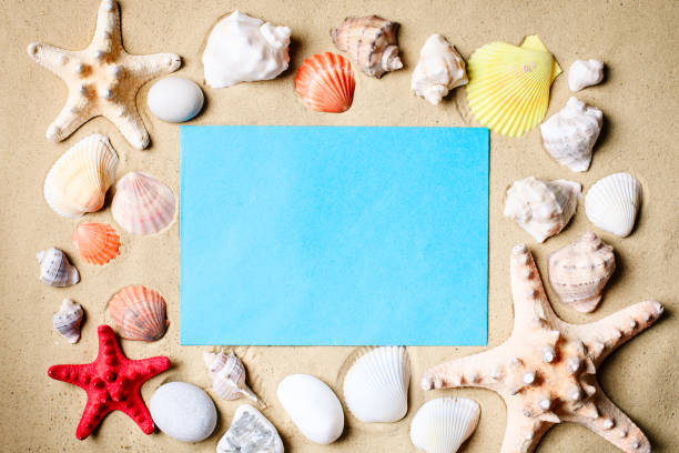 istock Landscape with shells on tropical beach. Rest on the beach. Travel. Background with copy space 956292064