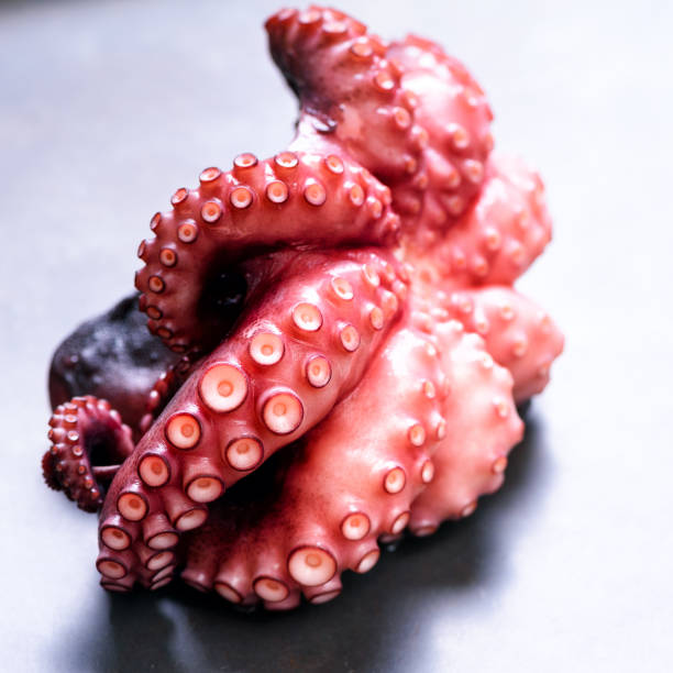 istock Boiled octopus on metal background with copy space. Square crop 956292730