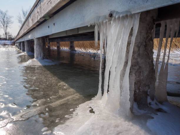 Icicles for pilots on Lake Neusiedl in winter