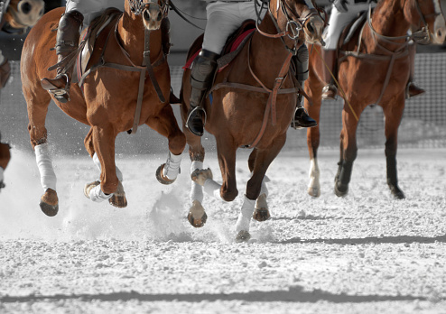 Mexico City, Mexico - July 22 2023: Hipodromo de las Americas is a racetrack where Thoroughbred and Quarter Horses compete