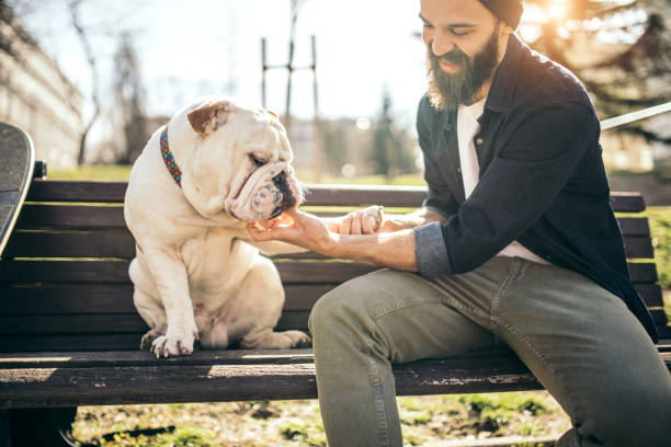 istock Man and dog in the park 956296158