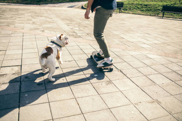 istock Man and dog in the park 956296272