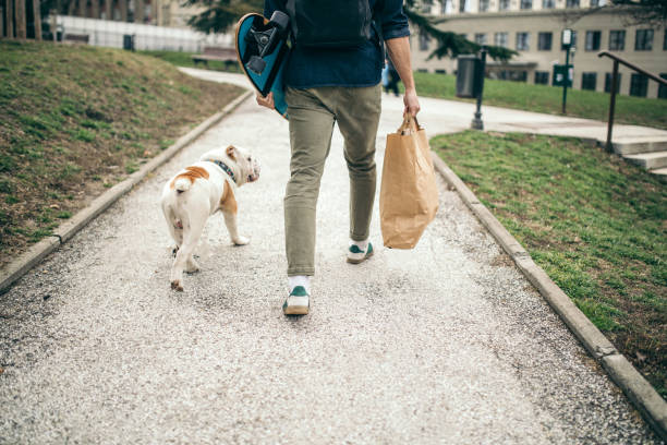 istock Man and dog in the park 956296740