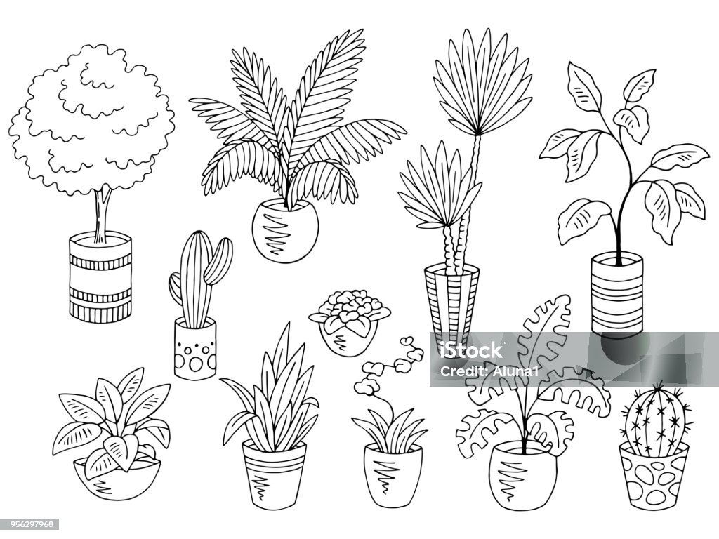 Home plants flower graphic black white isolated sketch set illustration vector Plant stock vector