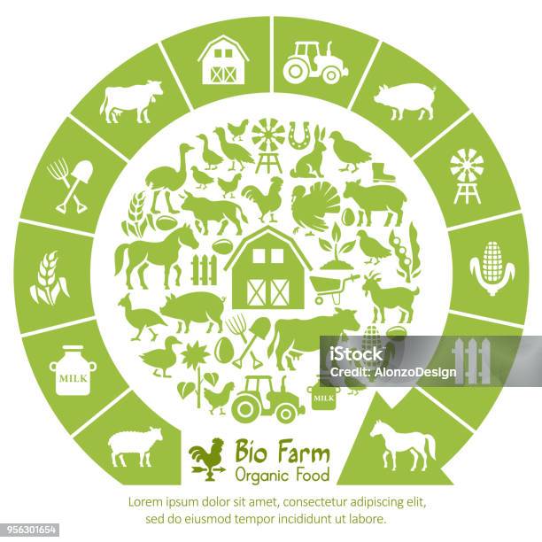 Bio Farm Collage Stock Illustration - Download Image Now - Farm, Animal, Animal Themes