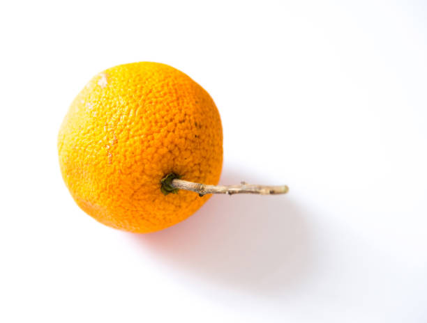로튼 오랑주 흰색 배경에 분리된 - rotting orange rudeness fruit 뉴스 사진 이미지