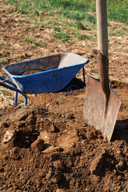 istock Shovel on soil and trolley.Gardening. 956302586