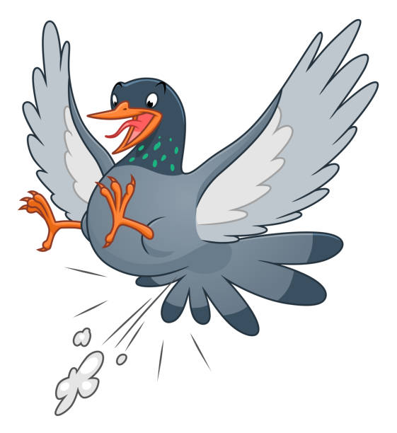 46 Cartoon Of Mocking Bird Illustrations & Clip Art - iStock