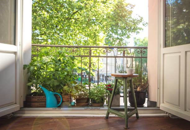 istock Urban Gardening 956306552