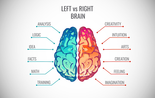 Left and right human brain concept. Creative part and logic part with social and business infographics vector illustration