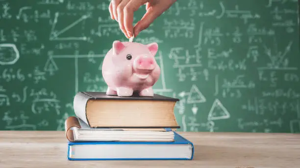 Photo of Female putting coin into piggy bank