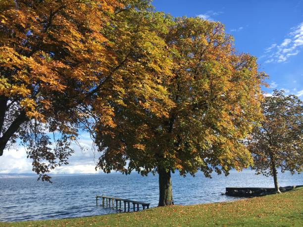 istock Beautiful landscape of Lake 956314816
