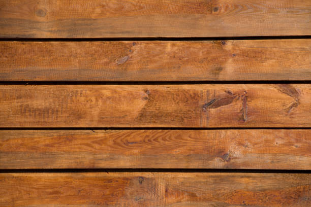 texture of bark wood use as natural background