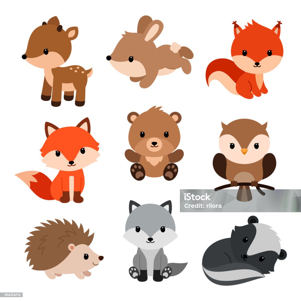 Woodland animals set. Woodland animals and decor elements set. Vector illustration isolated on white background. Animal stock vector